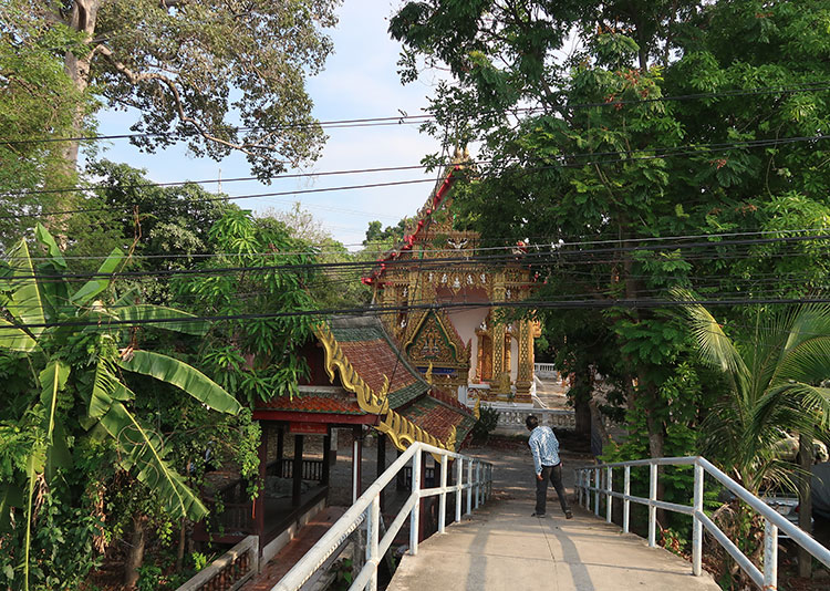 Birding/ Bird watching at Wat Suan Yai, Bangkok, Thailand