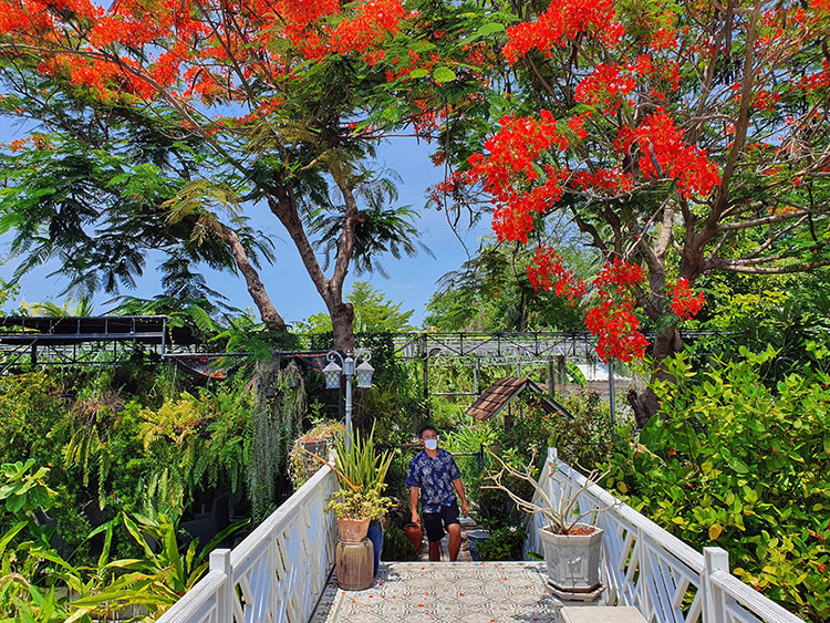 Birding/ Bird watching at Hat Chao Samran, Phetchaburi, Thailand - ป้าหยันร้านอาหารเพชรบุรี