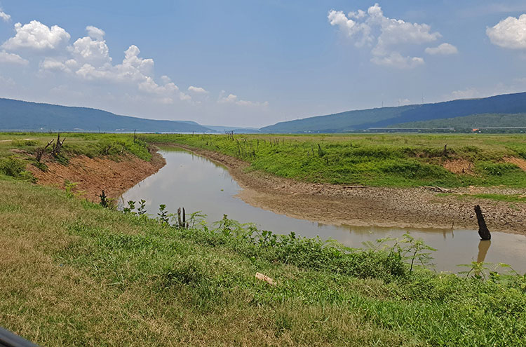 Birding/ Bird watching at Lam Takhong Dam--Ta Ngoi scrub & farmlands, Thailand