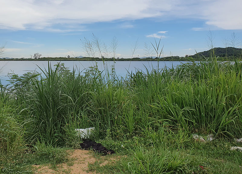 Birding/ Bird watching at Huai Saphan Reservoir, Chonburi, Thailand