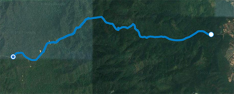 Kaeng Krachan National Park safari