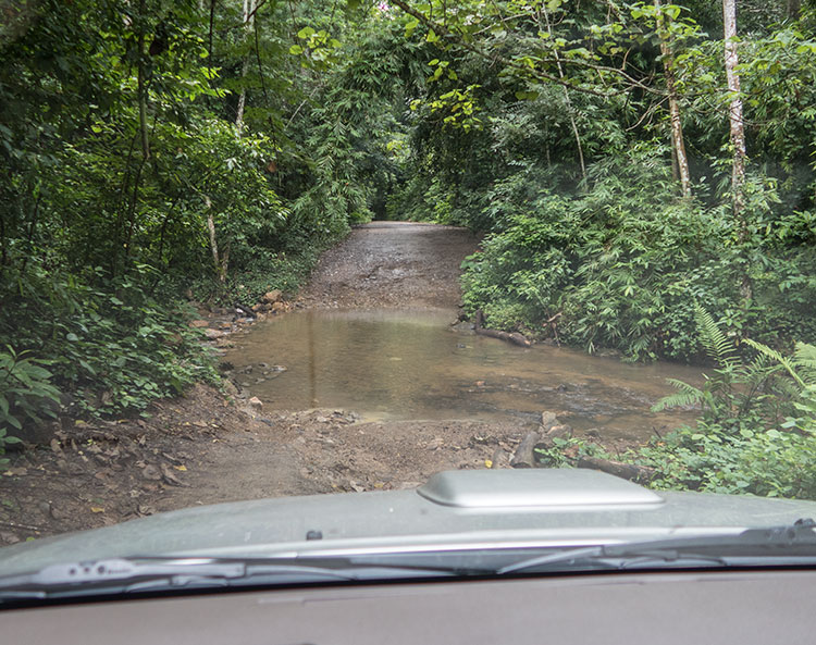 Kaeng Krachan National Park safari