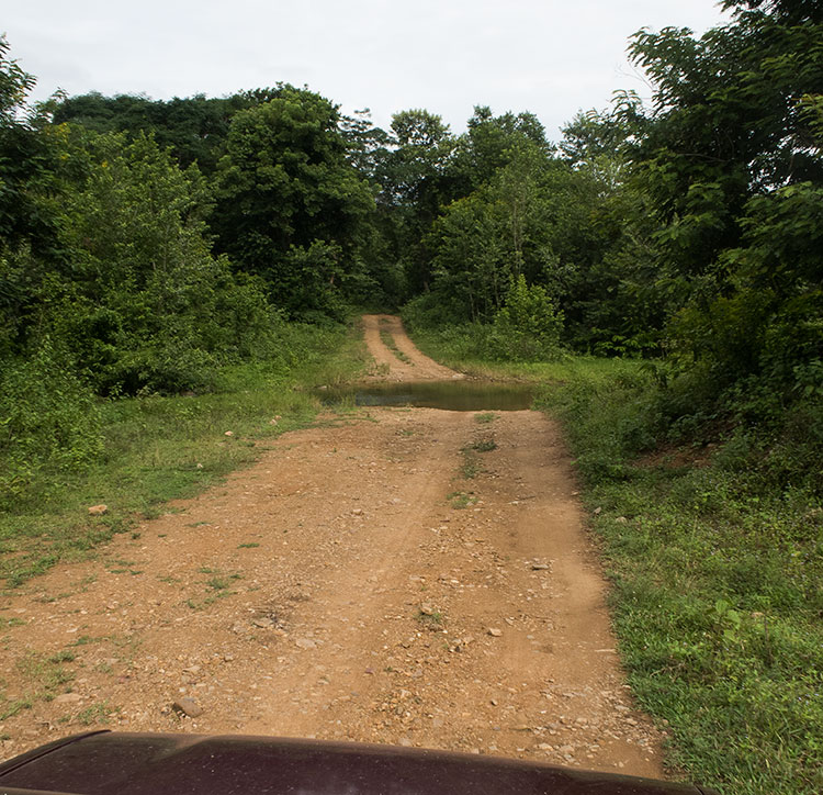 Kui Buri National Park safari