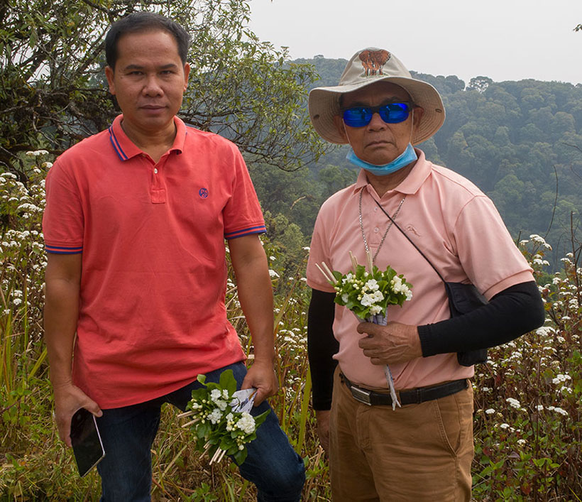 Bird watching in Doi Inthanon