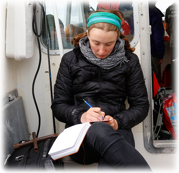 Boat transfer to Qaqortoq from Igaliku