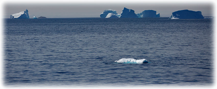 Artic Umiaq Line's ferry Sarfaq Ittuk