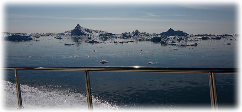 Whale watching in Ilulissat