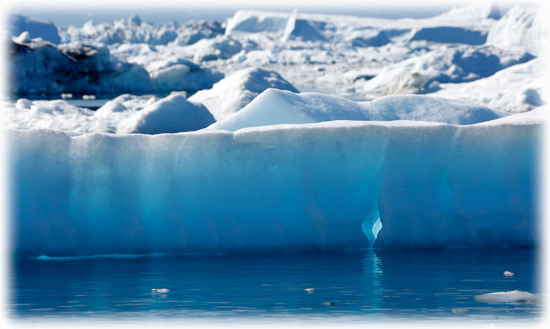 Whale watching in Ilulissat