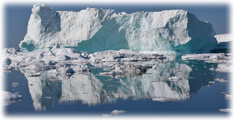 Whale watching in Ilulissat