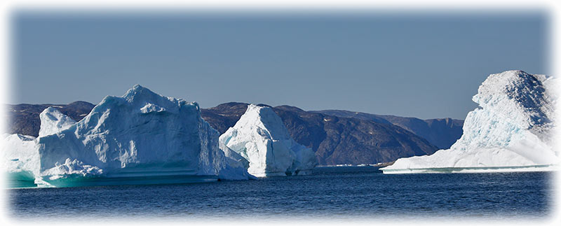 Whale watching in Ilulissat