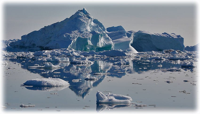 Whale watching in Ilulissat