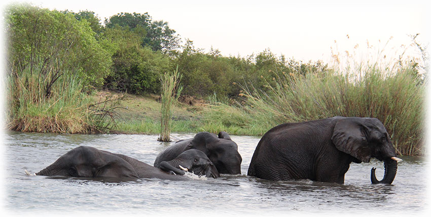 Aladdin's adventure at Victoria Falls, Ra - Ikane Sunset Cruise