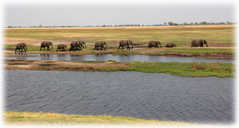 Aladdin's adventure at Chobe Game Lodge in Botswana - Game driving