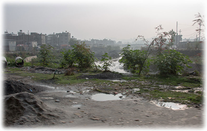 Birding/ Bird watching in Kathmandu Valley, Nepal
