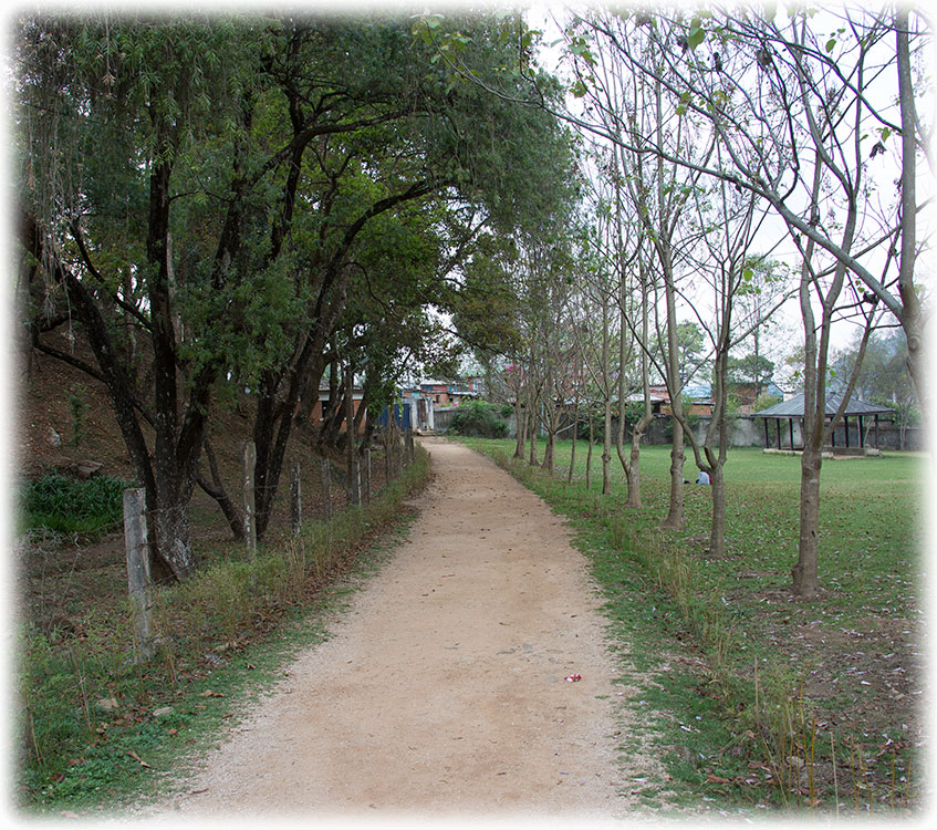 Birding/ Bird watching in the Godawari Botanical Garden, Kathmandu Valley, Nepal