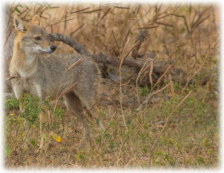 Aladdin's adventure Yala National Park - Block 1