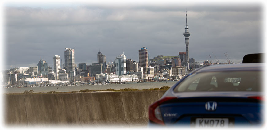 Birding/ Bird watching on New Zealand