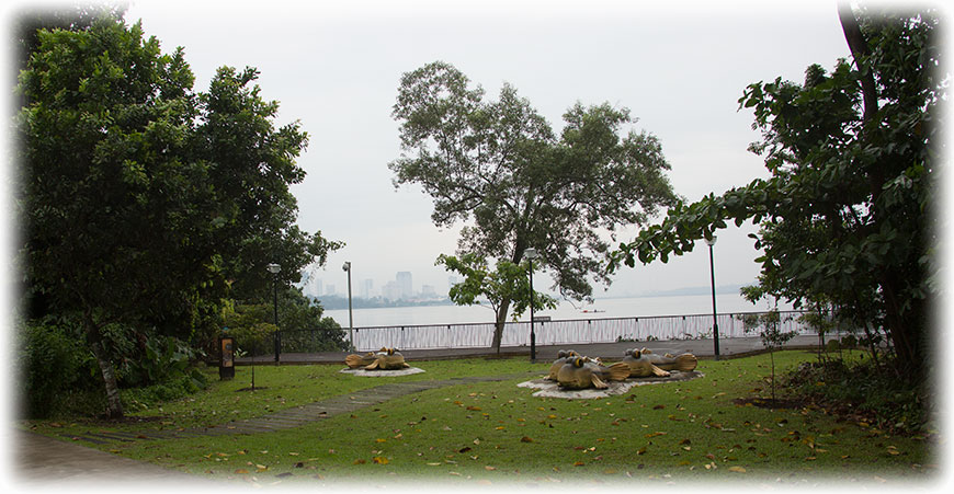 Birding/ Bird watching at Sungei Buloh Wetland Reserve, Singapore