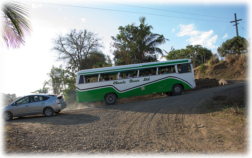 Birding/ Bird watching in, Nadi, Fiji