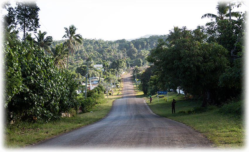 Birding/ Bird watching on Vava'u, Tonga