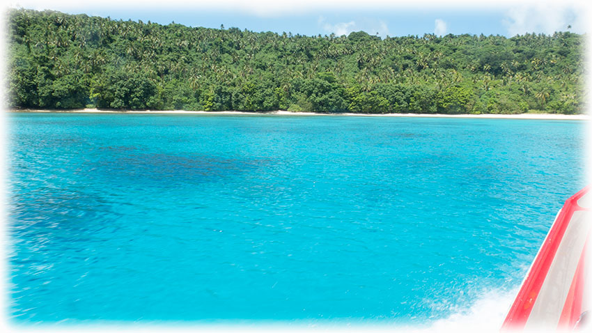 Swimming with humpback whales on Tonga