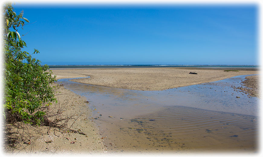 Fiji sand beach