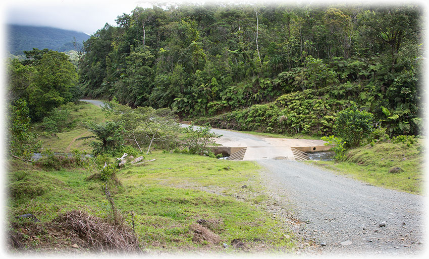 Birding/ Bird watching on Namosi Road, Fiji