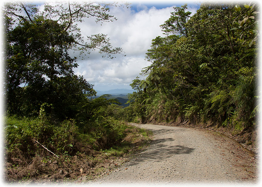 Birding/ Bird watching on Namosi Road, Fiji