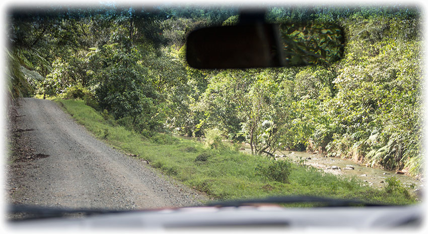 Birding/ Bird watching on Namosi Road, Fiji