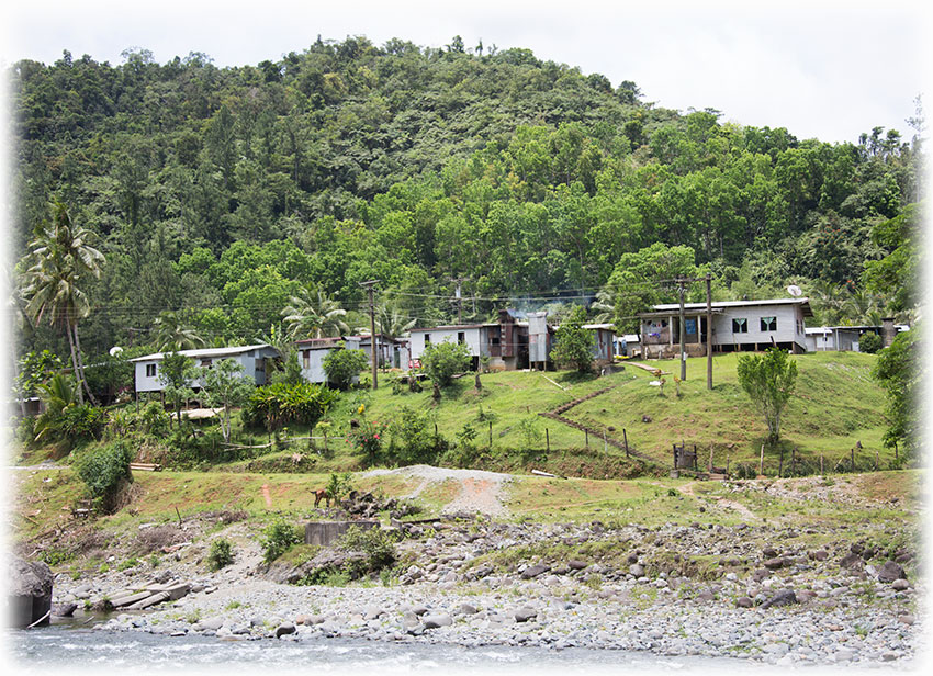 Birding/ Bird watching at Monasavu Dam, Fiji