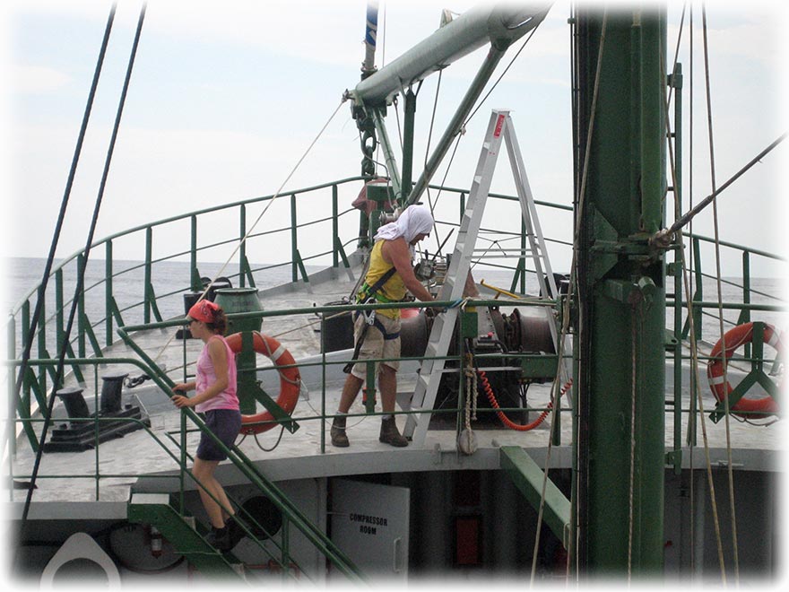 Greenpeace's Rainbow Warrior