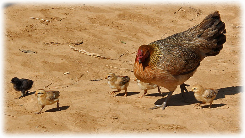Aladdin's adventure in Ban Houy Pha Lam Village - December 2014 - VISA run to Laos